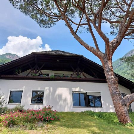 Villa Pinie Apt 1 Terlano Eksteriør billede