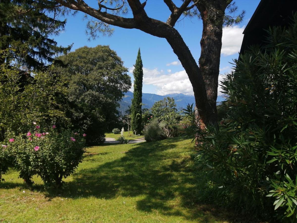 Villa Pinie Apt 1 Terlano Eksteriør billede